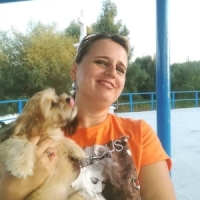 Calarasi: Apel pentru gasirea lui Benji, un catelus de doua luni