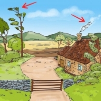 Test de inteligenta