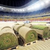 National Arena va fi inchisa pentru refacerea gazonului
