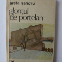 Areta Sandru: Nu trageti in Poiana Soarelui! - fragment din romanul Glontul de portelan