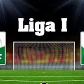Modificari revolutionare pentru urmatorul sezon in Liga 1