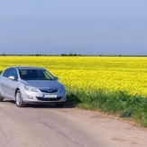 ANM: Prognoza agrometeorologica favorabila pentru perioada 4 - 10 Mai 2019