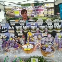 Steliana Dumitru din Daeni, judetul Tulcea: Suntem producatori de lavanda si flori la ghiveci!