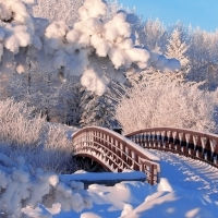 Meteorologii anunta ca vine iarna