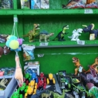 Liz Marinova de la Dino Park: Ousoare care se pun in apa si dupa o zi iese dinozaurul din ele!