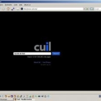 Motorul de cautare Cuil, arma anti-Google