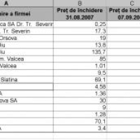 Firmele din Oltenia, tentante pentru investitori