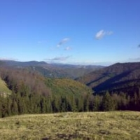 Milioane de hectare au nevoie de custozi si finantare