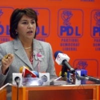 Sulfina Barbu spune ca cei de la PSD apara de fapt