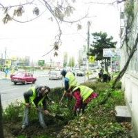 150 de miliarde pentru Spatii verzi