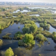 Delta din mijlocul orasului Bucuresti