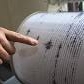 In Romania, cutremur cu magnitudinea de 4,8 grade, resimtit si in Capitala