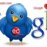 Google va integra Twitter in cautare