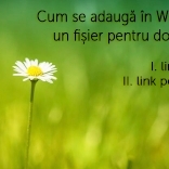 Cum se adauga un fisier pentru download pe un text