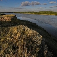 Situl Natura 2000 Bratul Borcea poate sa devina Parc Natural