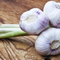 Usturoiul este eficient impotriva streptococilor