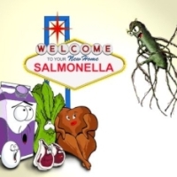 Primavara vine cu salmoneloza!