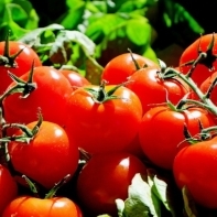 Mancati rosii romanesti, nu contin pesticide