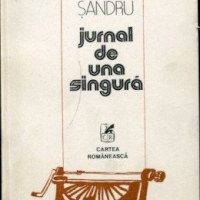 JURNAL DE UNA SINGURA, o povestire de Areta Sandru