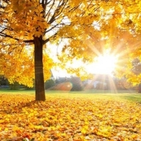 Prognoza meteo (ANM): In luna octombrie 2018 va fi o vreme insorita