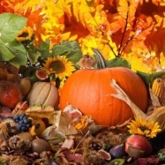 Evenimente in acest weekend, in Capitala