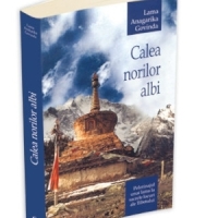 Calea norilor albi, ca marturie si descriere a unui pelerinaj in Tibet