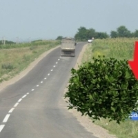 AmosNews: Saptamana pe scurt