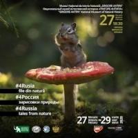 Expozitia Rusia - file din natura, la Muzeul Antipa