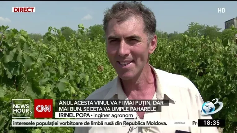Anul acesta vinul va fi mai putin, dar mai bun