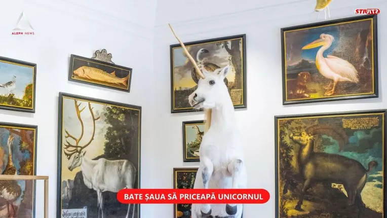 Cel mai bogat roman a vandut din actiunile companiei sale