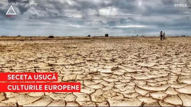 Europa se topeste sub canicula, iar recoltele palesc
