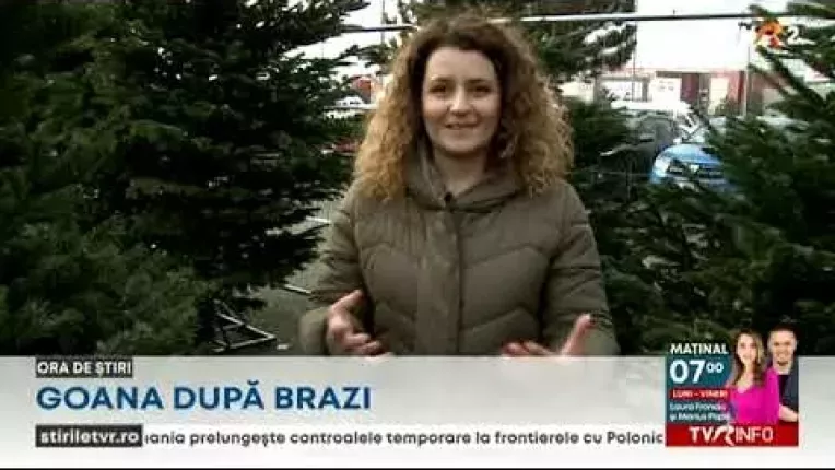 Goana dupa brazi