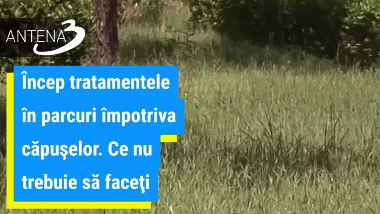Incep tratamentele in parcuri impotriva capuselor. Ce nu trebuie sa faceti