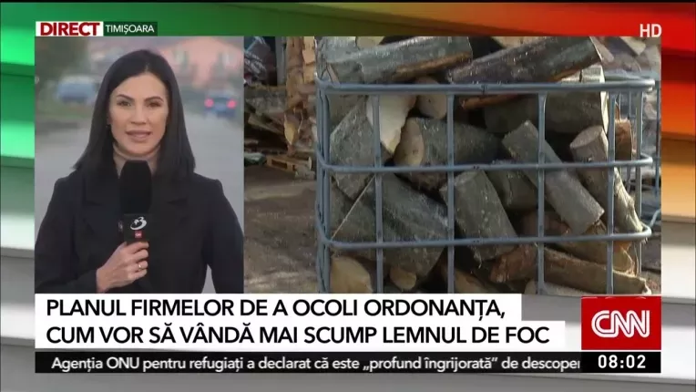 Lemnul de foc si peletii au disparut de pe piata: Planul firmelor de a ocoli ordonanta