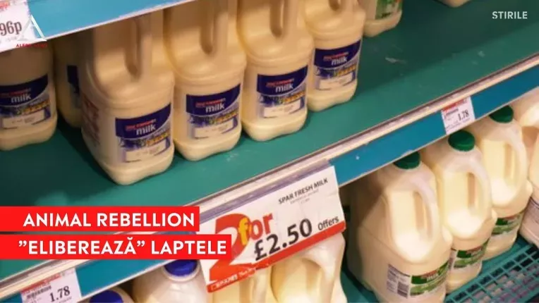 Protest "anti-lapte" in UK. Un grup de activisti vegani au golit magazinele