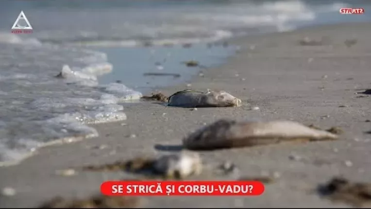 Satul pescaresc de la Corbu are 150 de vile de lux. USR contesta proiectul imobiliar