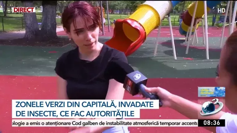 Zonele verzi din Bucuresti, invadate de insecte. Zeci de copii au ajuns la Urgente